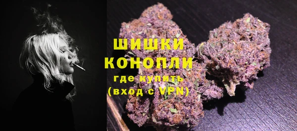 сатива Рославль