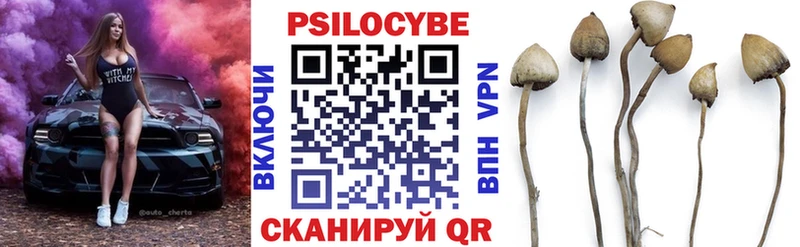 закладка  Владикавказ  Галлюциногенные грибы Magic Shrooms 