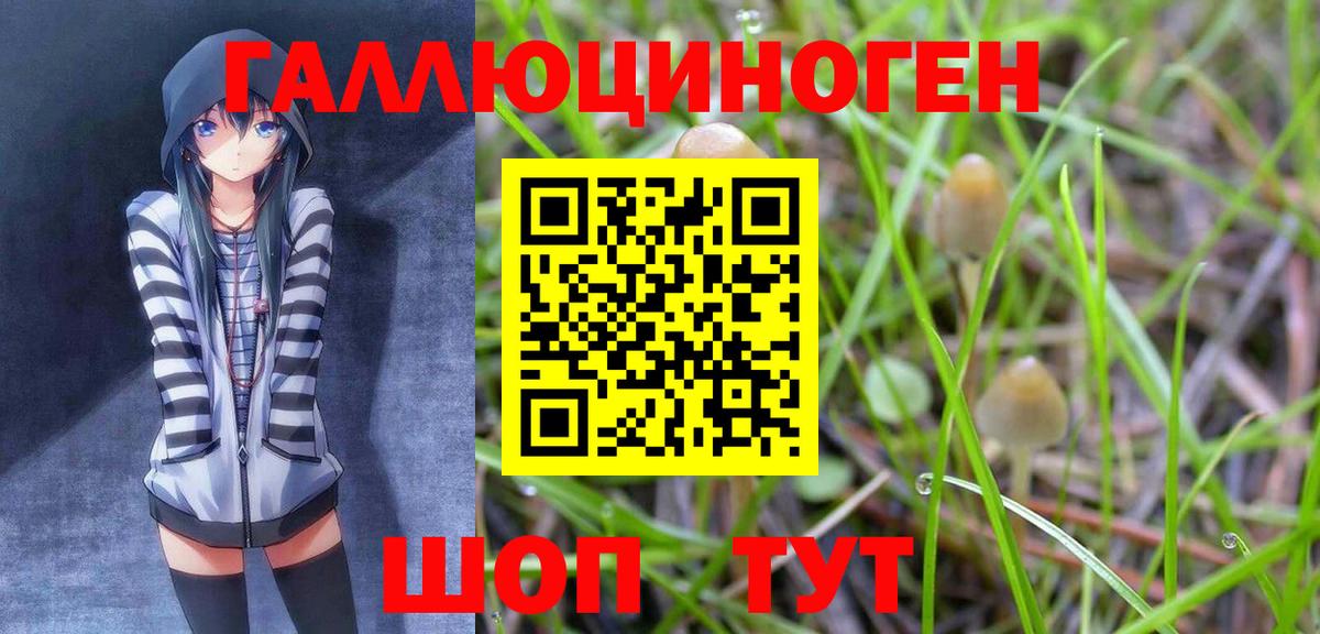 Галлюциногенные грибы MAGIC MUSHROOMS  Вход с VPN  Псилоцибиновые грибы мицелий  Владикавказ 